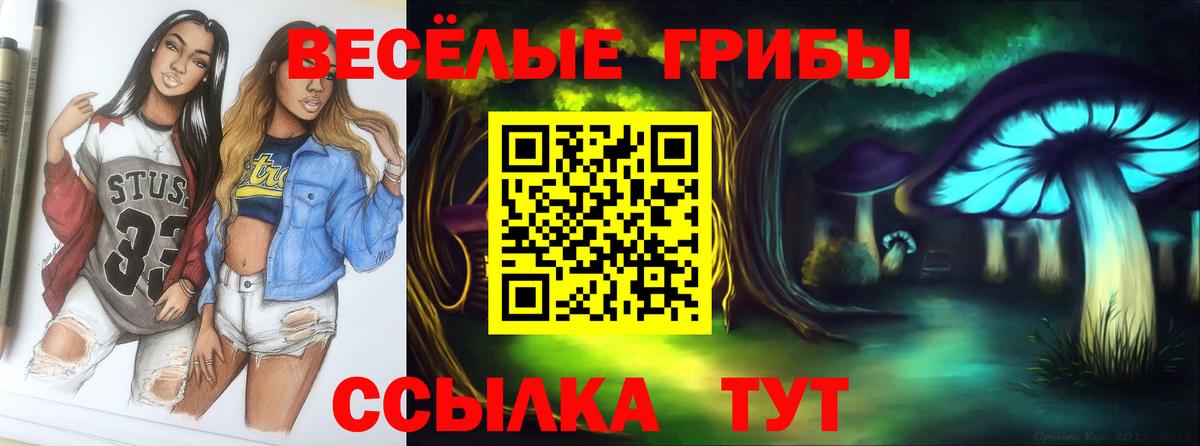 Галлюциногенные грибы ЛСД  Вход с VPN  Усть-Илимск 